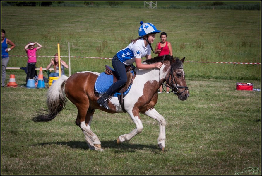 Mounted Games 310